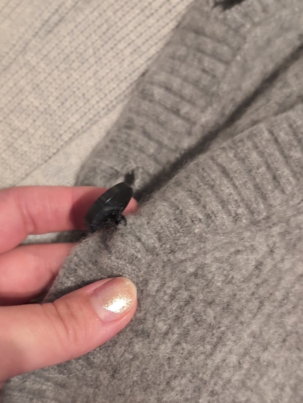 Soft Ribbed Button-Front Knit Vest - Gray - Picture 9 of 9